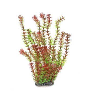 Искусственное растение для аквариума "Aquatic Plants" "Ambulia" красно-зеленое пышное 40 см.,арт.,(081A)(FA) 081A(FA) фото