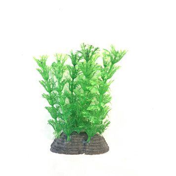 Искусственное растение для аквариума "Aquatic Plants" "Ambulia" зеленое 10 см.,арт.,(1081B) 1081B фото