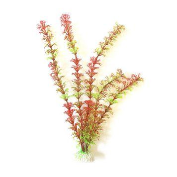Искусственное растение для аквариума "Aquatic Plants"-"Ambulia" красно-зеленое 40 см.,арт.,(081A)(16) 081A(16) фото