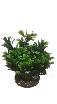 Искусственное растение для аквариума "Aquatic Plants" 10 см.,зеленое.,арт.,(PR-309) PR309 фото