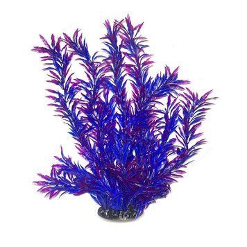Искусственное растение для аквариума Aquatic Plants "Hygrophila" синий электрик пышное 40 см.,арт.,(086Q)(FA) 086Q(FA) фото