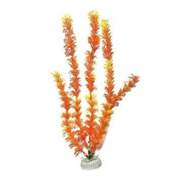 Искусственное растение для аквариума "Aquatic Plants" "Ambulia" оранжевое 30 см.,арт.,(081D)(12) 081D(12) фото