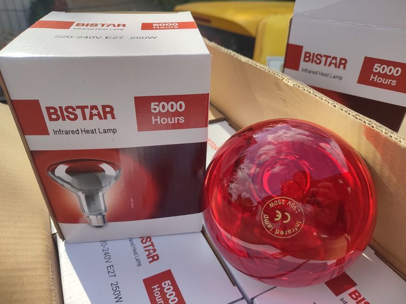 Инфракрасная лампа красная 250Вт, Е27 BelLight (Bistar) для птиц (цыплят, цыплят, кур, перепелов, бройлера) и животных, арт.,(562476) 562476 фото